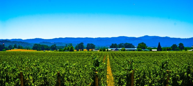 Top Ten Early Retirement Activities Top Ten Early Retirement Activities